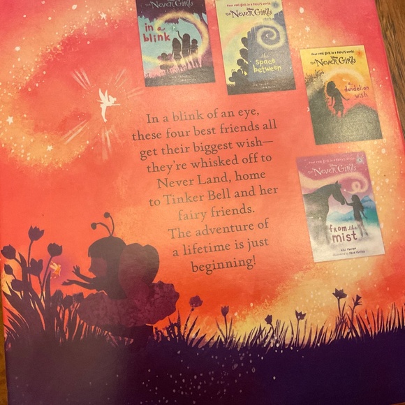 Disney the NEVER GIRLS book collection #1-12 - Picture 10 of 10